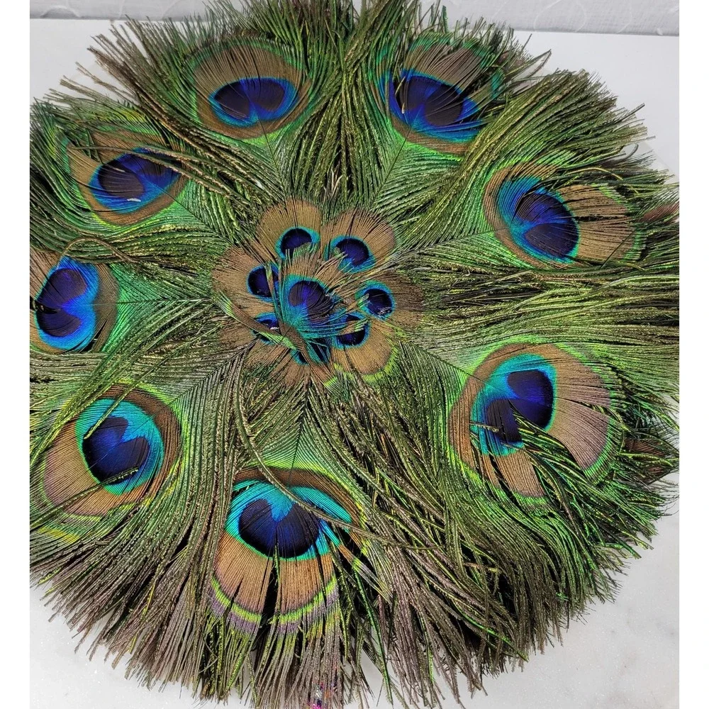 Vintage Peacock Feather Fan 12